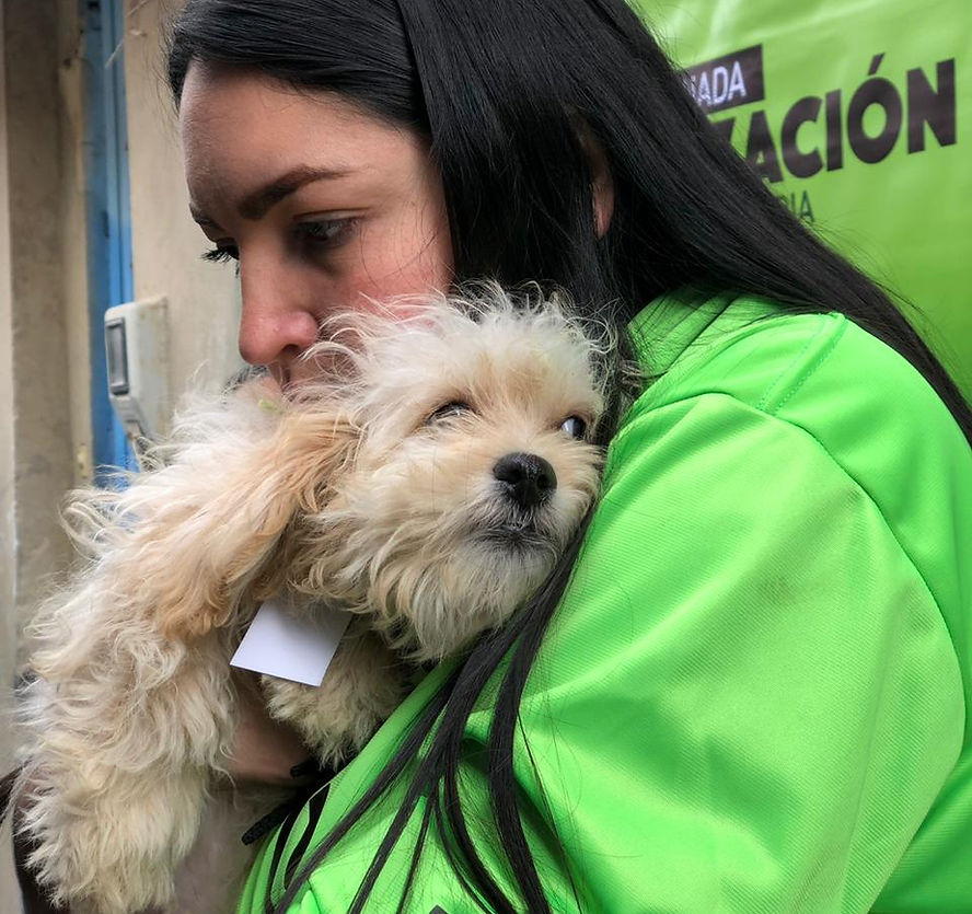 Voluntaria de Arca Luminosa cargando con cariño a un perrito durante una jornada de esterilización